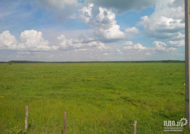 Продам земельный массив 157 Га.