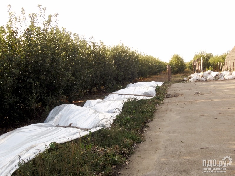 Многопрофильное с/х предприятие 160 Га