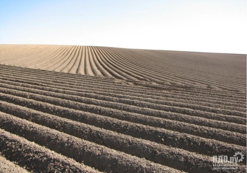 Продам земельный участок 200 Га.