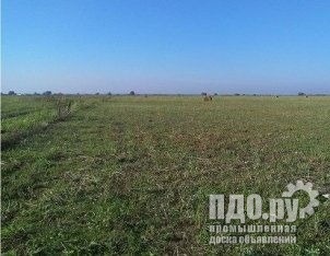 Земельный участок сельхозназначения 920 Га.