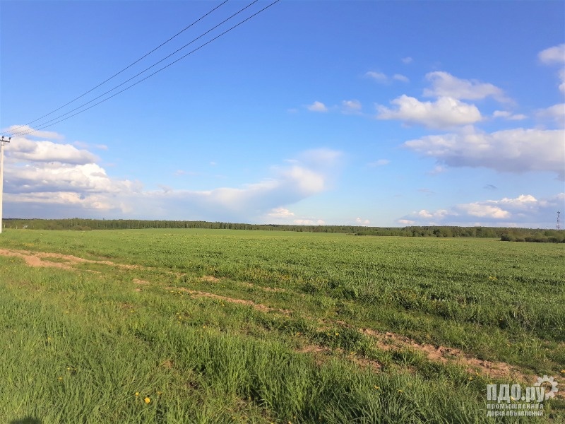 65 Га сельхозназначения в Московской области. 35 км от Москвы.