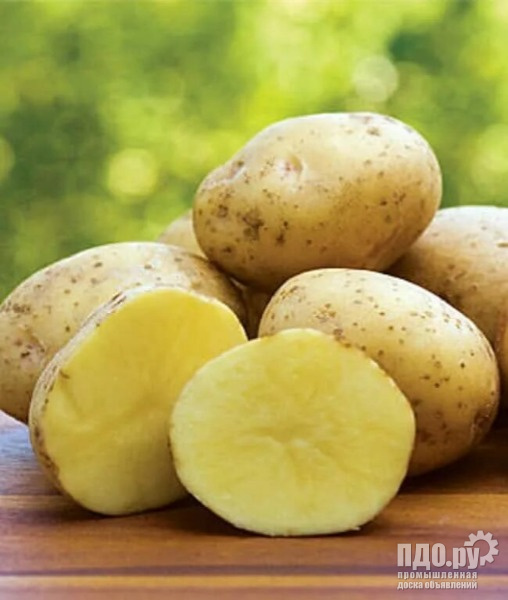 Продам картофель, урожай 2022г. Борщевые овощи.