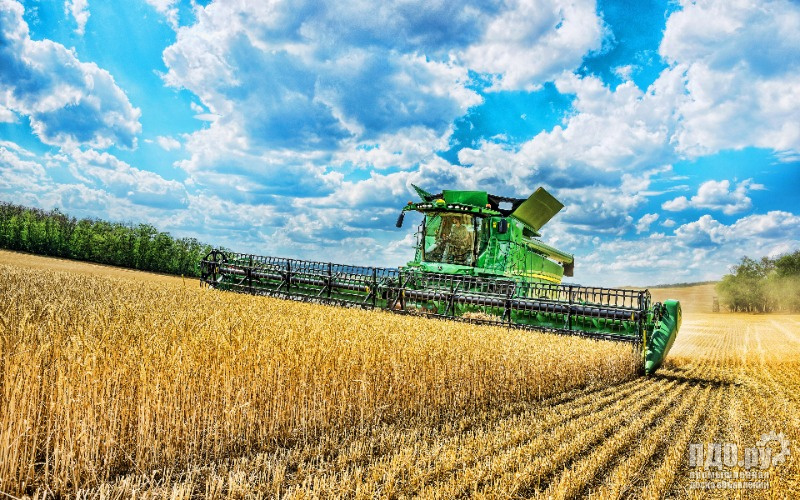 Пшеница 30000 тн Агрохолдинг Васюринский