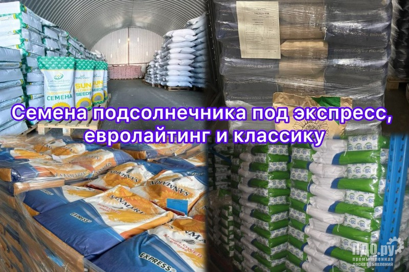 Семена под экспресс. Евролайтинг. Санмарин 410 семена подсолнечника.