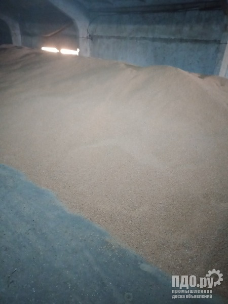 Озимая пшеница 70-80 тонн!