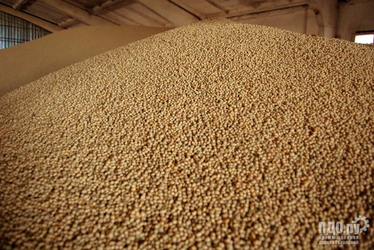 For sale! Yellow peas 2000 tons.