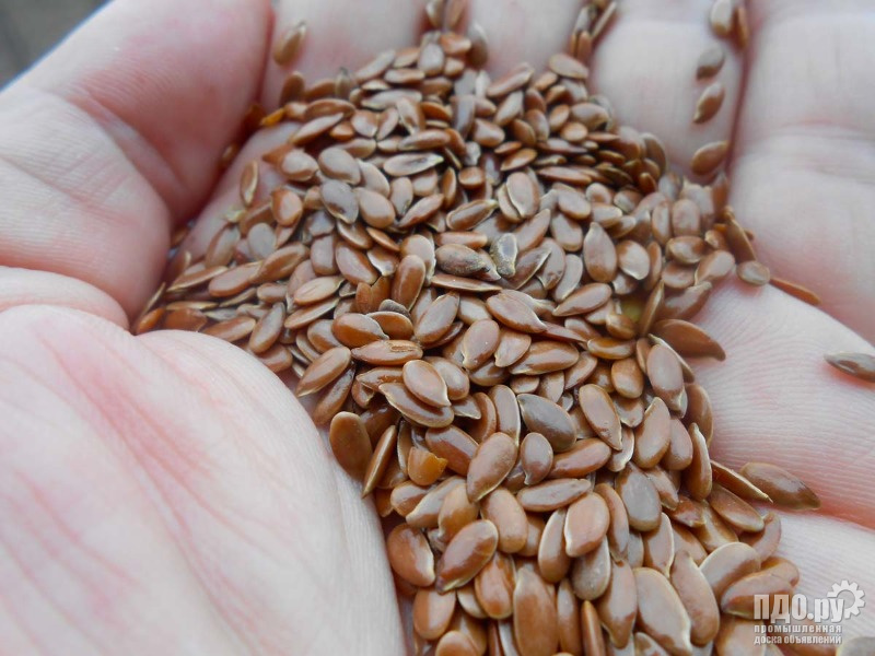 Семена льна - поставки в Суйфэньхэ