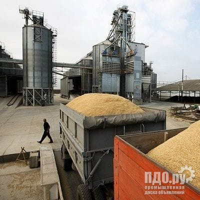 Пшеница 3 класс кл. 26-27, ЧП 230, натура 800, от 1000 тонн на элеваторе