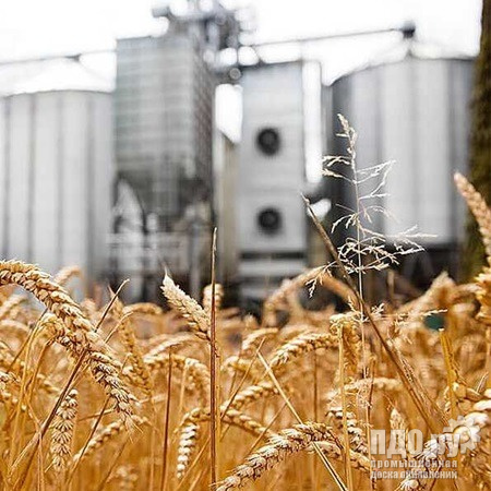 Пшеница 3 класс Hi-Pro кл. 30-34, 3500 тонн с элеватора