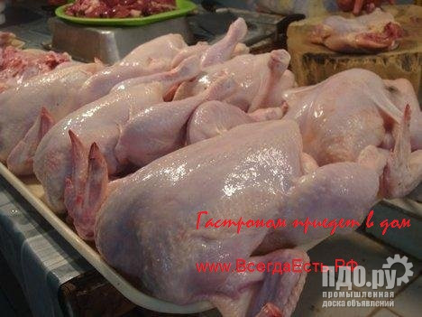 Куры халяль мясо баранина курдюк говядина