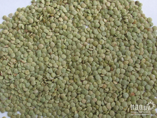 For sale! Green lentils in bags.