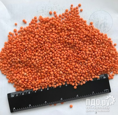 Red lentil: delivery to Egypt.