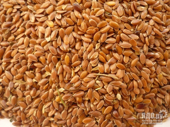 Семена льна: поставки в Китай и Монголию.