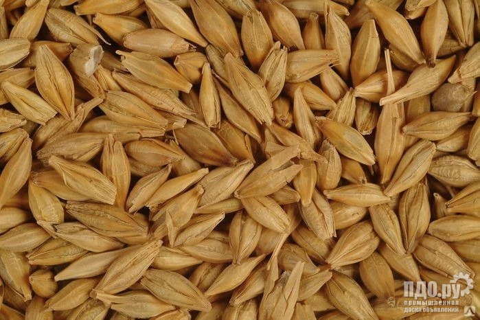 Ячмень: поставки по СЗФО России