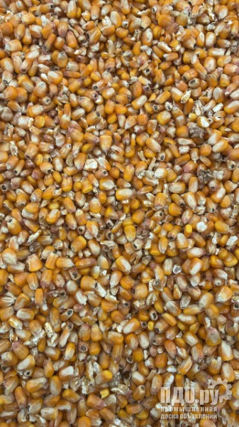 5.000 т кукурузы фур. от агрохолдинга Пенз. обл.