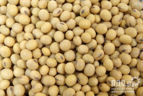 Соя объем 10000