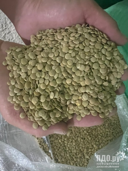 Лен масличный сор Рошаль СЭ, чечевица зеленая Даная ЭС,красная  пикантная ЭС