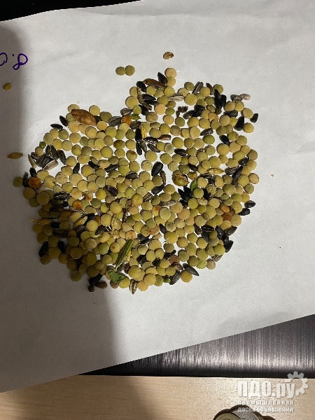 Продам чечевицу зеленую урожай 2025го