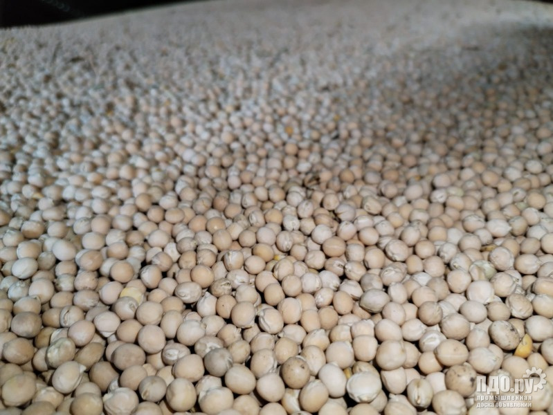 Жом свекловичный. Отправки в Китай.