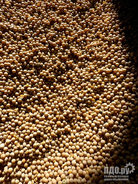 Горох 400 тонн