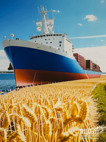 Спрос!Зерновые!Зернобобовые!Масличные!