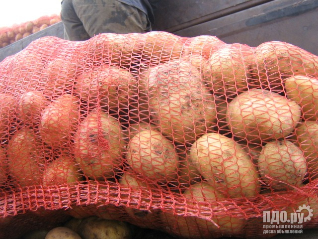 Картофель оптом Крупный 5 и средний 4