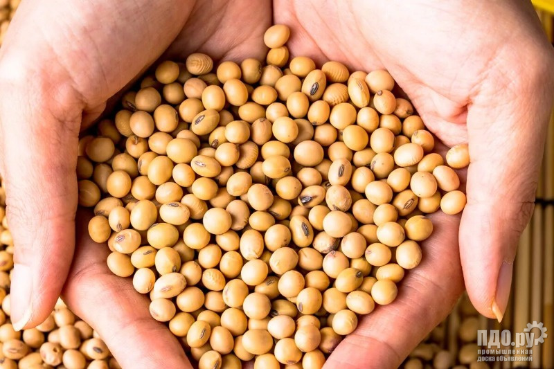 Куплю сою