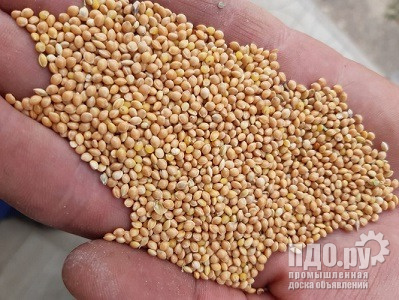 Куплю Просо!