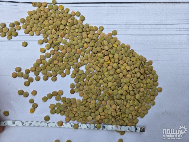 Продам зеленную чечевицу 150т