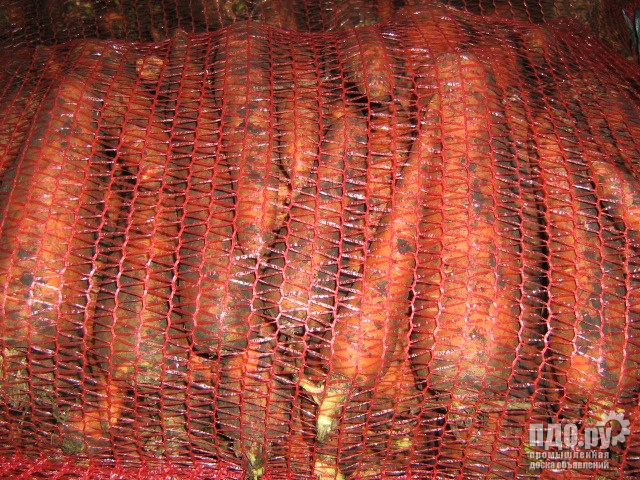 Морковь оптом