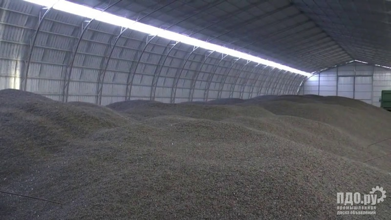 Продаем подсолнечник