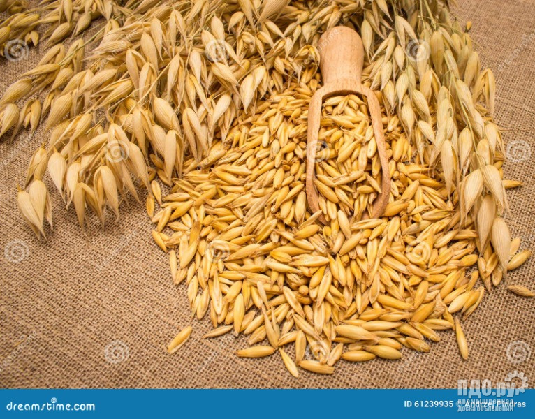 ОВЕС закупаем