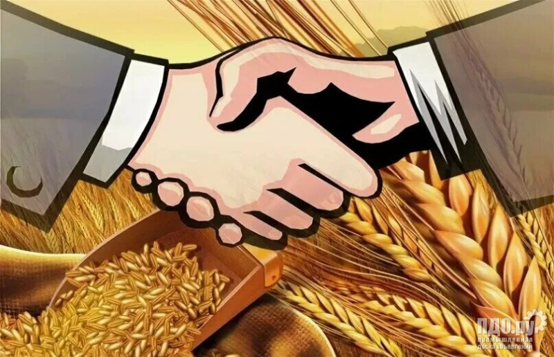 Компания КФХ Бориев закупает масличные и зерновые!!!