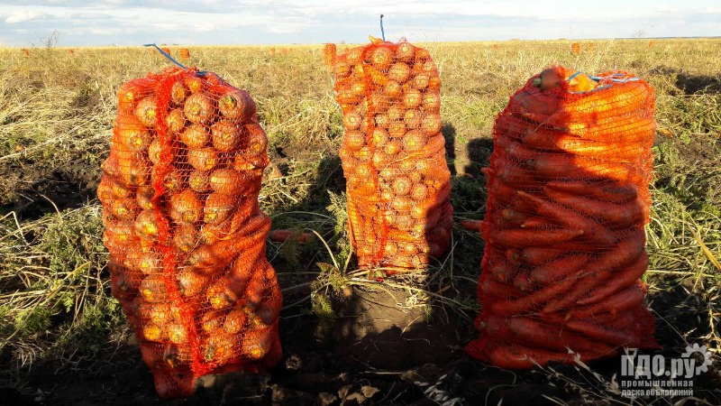 Морковь оптом