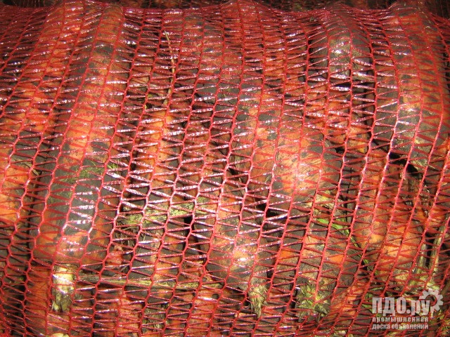 Морковь оптом