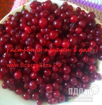 Клюква замороженная лесная