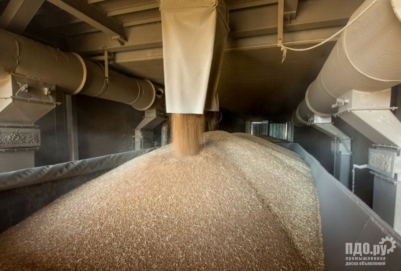 Пшеница 5 класса: поставки в Китай и Вьетнам.