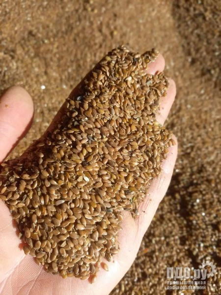 Семена льна, горох и рапс. Поставки в Китай.