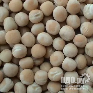 Горох: прямые поставки в Египет.