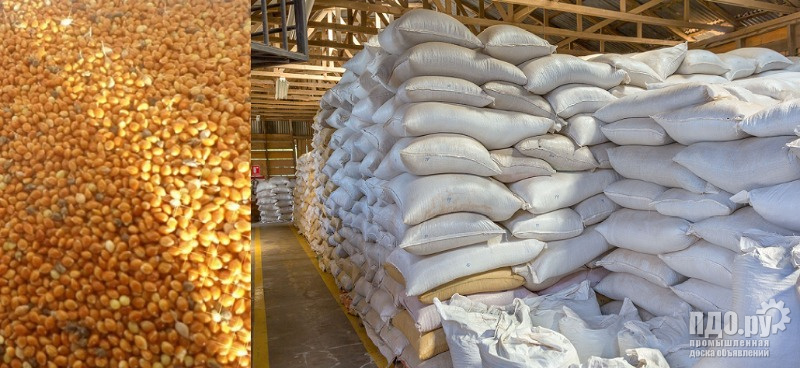 Просо желтое: поставки в Египет и Ливан.