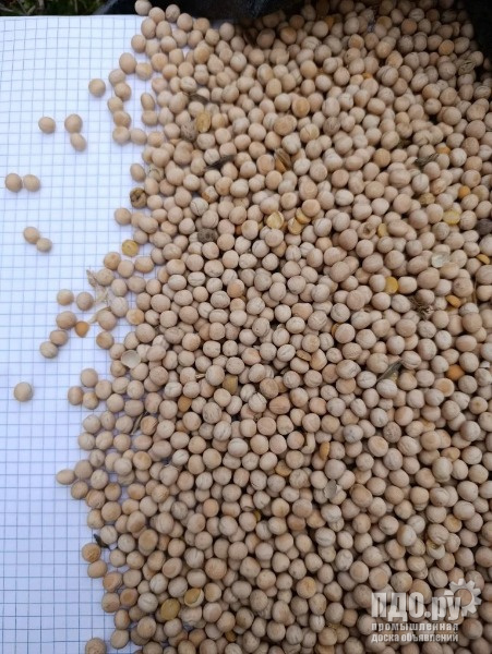 Горох продам