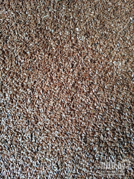 Лён коричневый