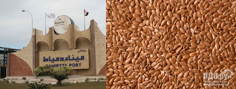 Milling wheat: delivery to Egypt.