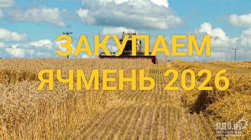 Куплю Ячмень!!!